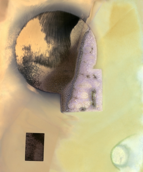 Brittany Nelson, Science 3, 2012