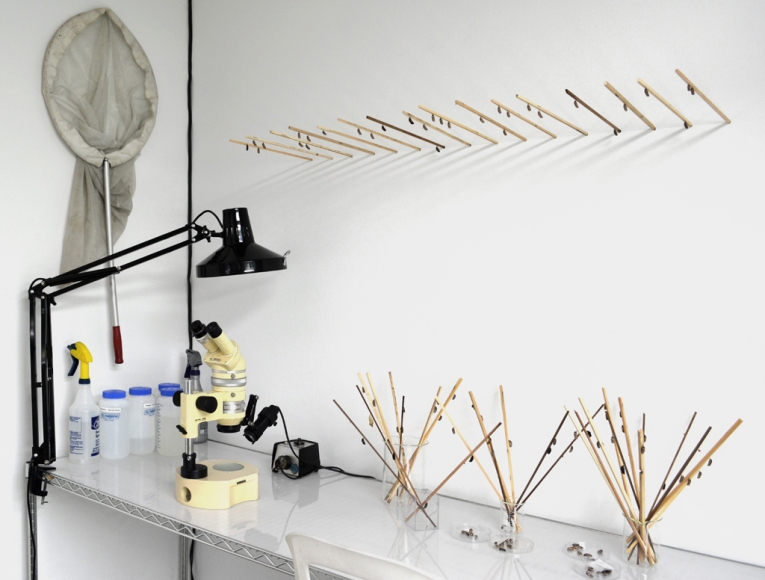 Paul Villinski, Butterfly Machine, installtion view, 2014