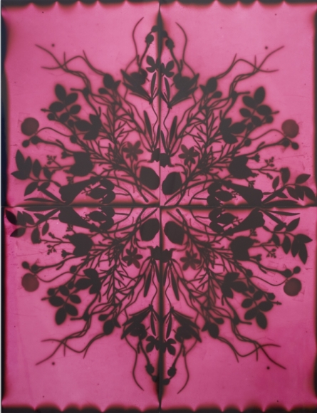 Wendy Small, Remedy (LIC Pink), 2016