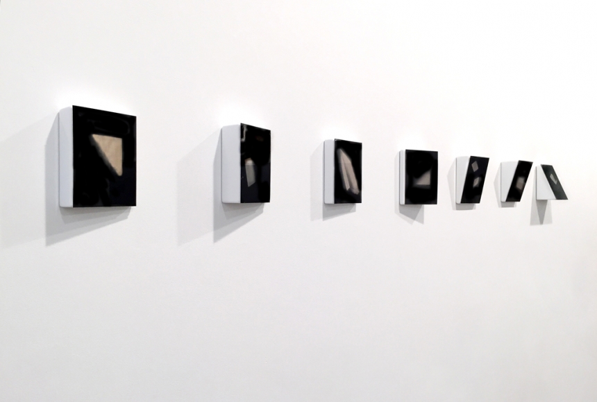 Brittany Nelson, The Year I Make Contact, 2016