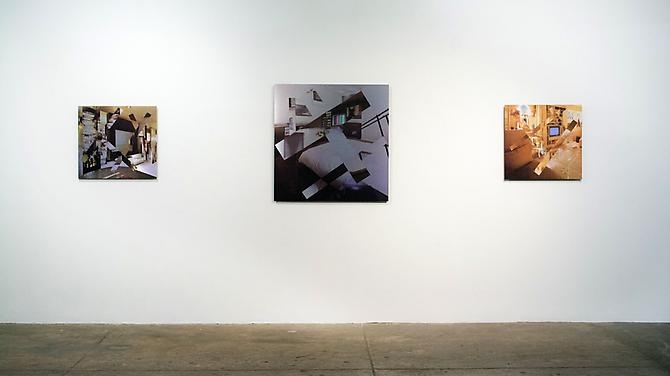 Nicole Cohen: Domestic Concerns, December 12, 2013 - January 25, 2014