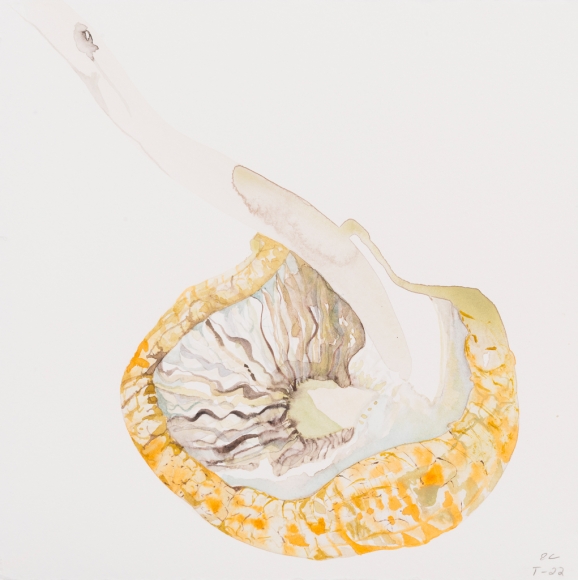 Emilie Clark, Untitled (T-22), from Meditations on Hunting, 2016