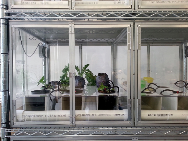 Flight Cage, Studio View, Paradigm, Long Island City, NY 2014