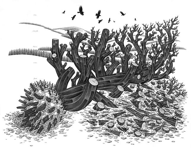 Eric Beltz, Noah's Shipwreck (2011)