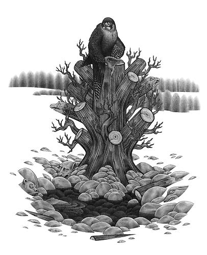 Eric Beltz, Medusa's Stump (2011)