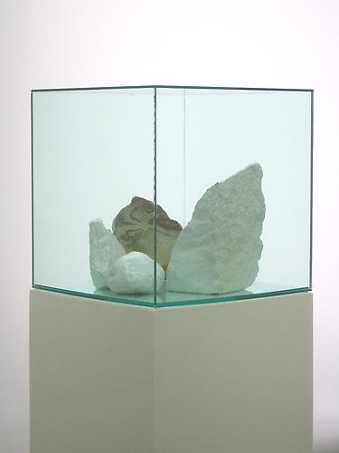 Consensus 1 (2012)