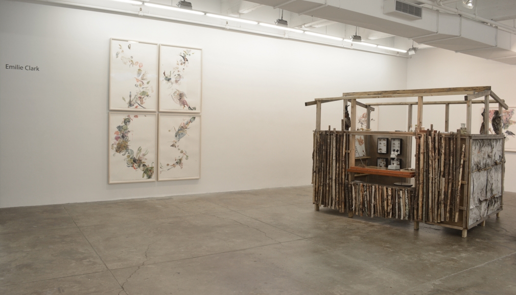 Emilie Clark, Meditations on Hunting, 2016