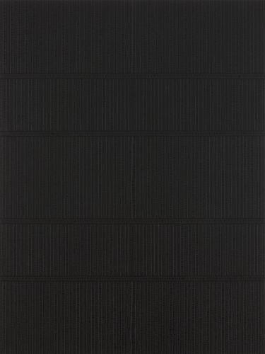 Katia Santibañez, Shadows Upon Shadows (2011)