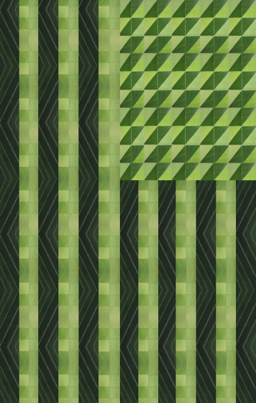 Edra Soto and Dan Sullivan, Tropicalamericana: US2, 2014