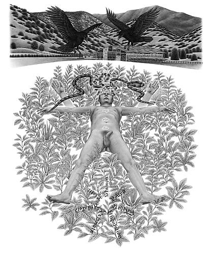 Eric Beltz, How To Identify Flowering Plant Families (2010)