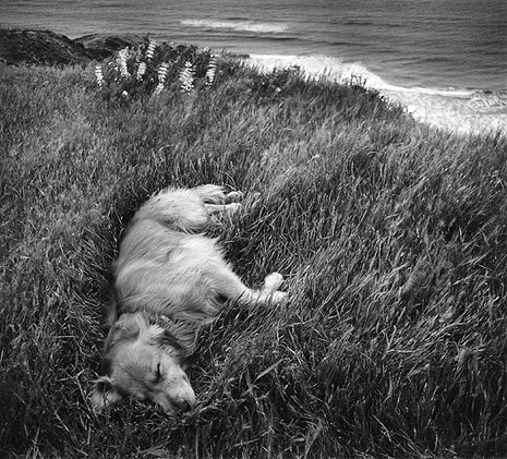 Ebby, San Gregorio, 1971