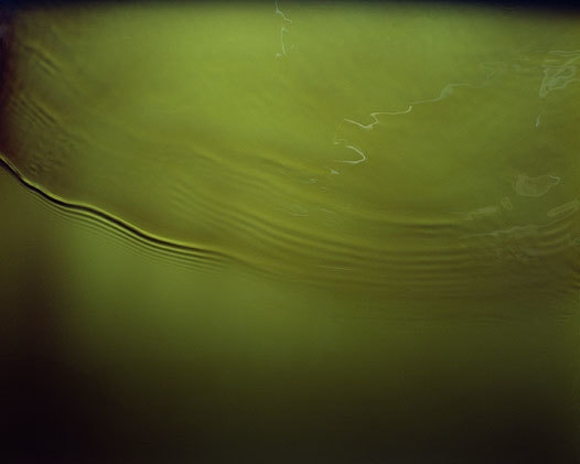 Flow #10, 2006