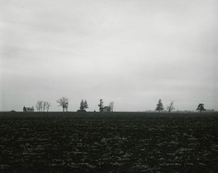 untitled, Illinois Landscape