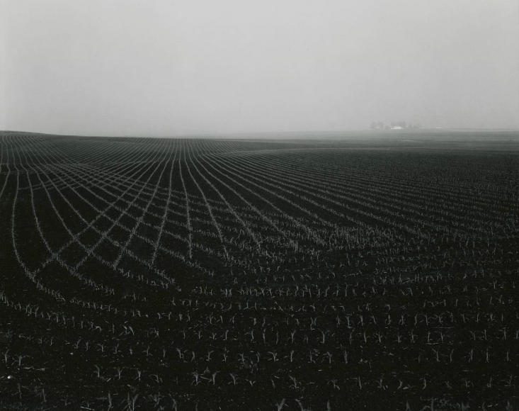 untitled, Illinois Landscape