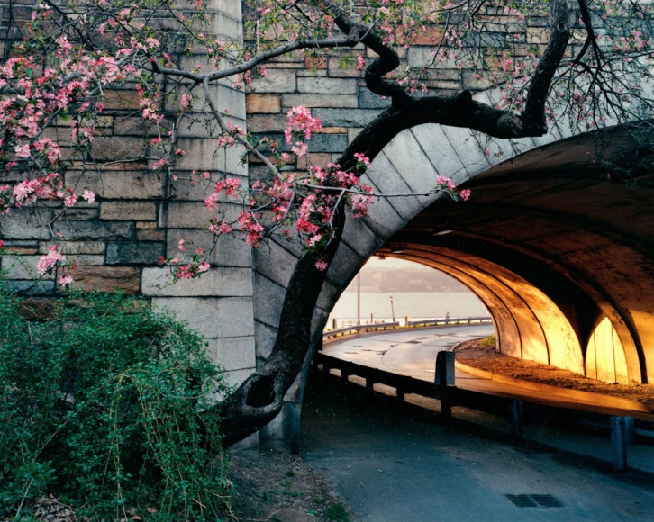 Len Jenshel, Riverside Park, (Manhattan), 2001