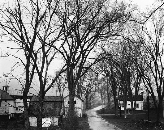 Elms and Road in Rail, Halcott Road, 1974