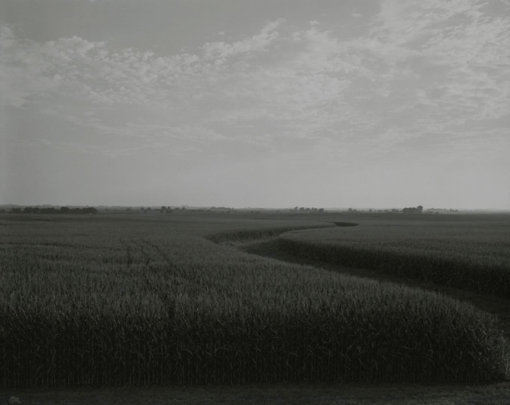 untitled, Illinois Landscape