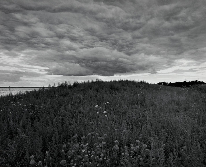 Diane Cook, Lemon Creek, New York (Staten Island), 2002