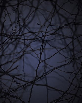 Dusk #3, 2003