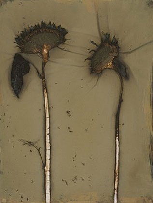 Sunflowers 07-09, 2007