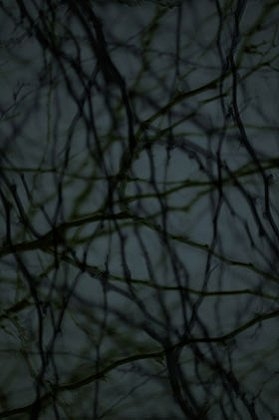Dusk #55, 2005