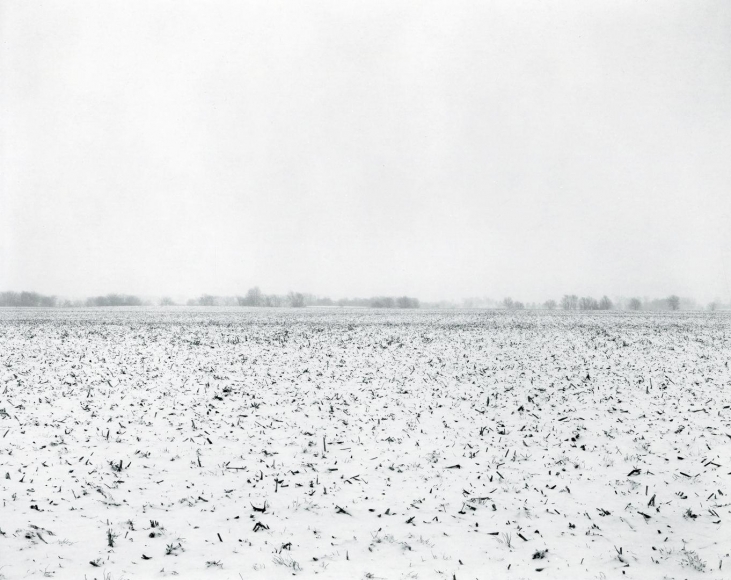 untitled, Illinois Landscape