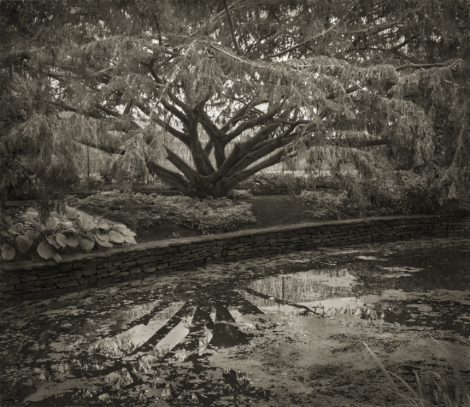 Dye Pool, The Courts, from the series In the Garden