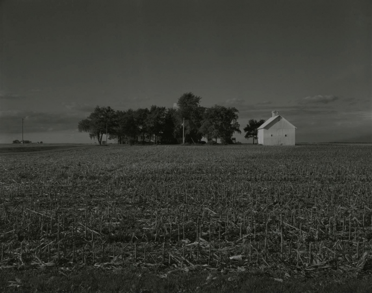 untitled, Illinois Landscape