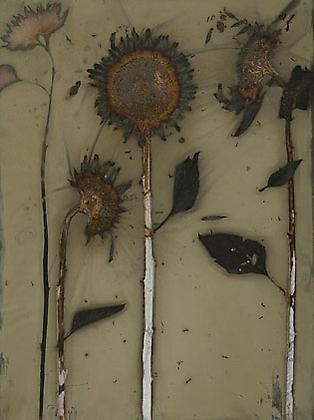 Sunflower 07-01, 2007