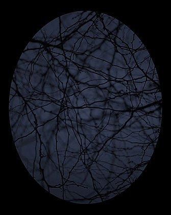 Dusk #33, 2003