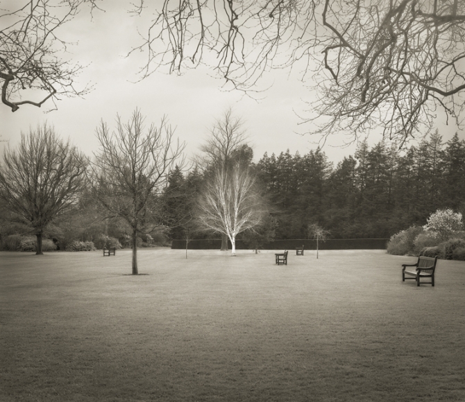Lawn, Hall Place, from the series In the Garden, 2001