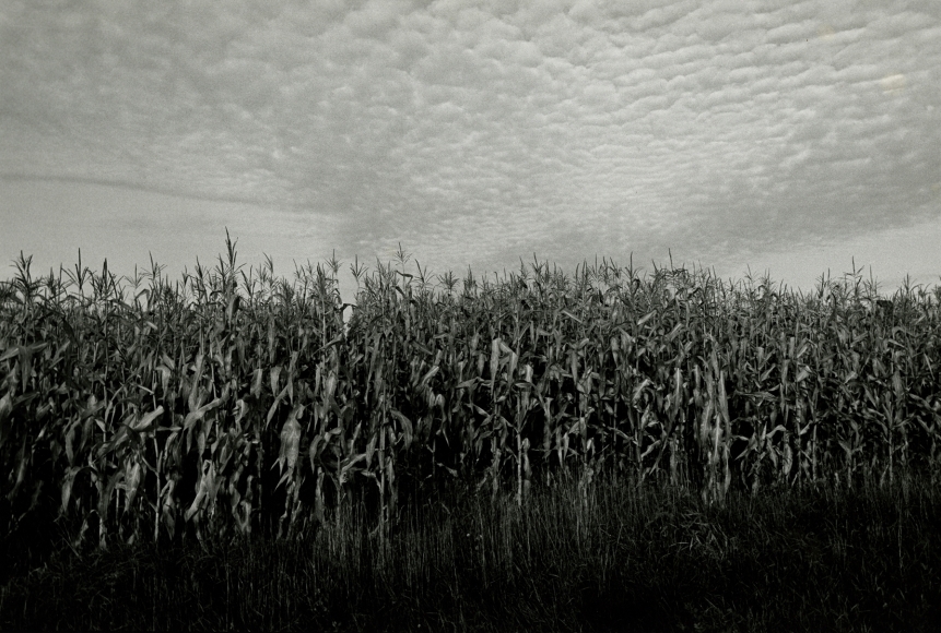 Midwest Diary #74432-28, c. 1974, vintage gelatin silver print