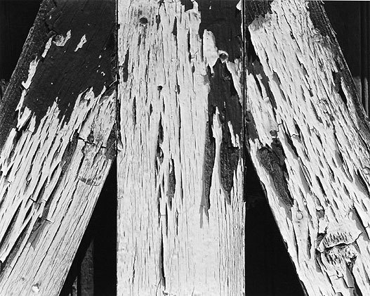 Barn Door Detail, 1974