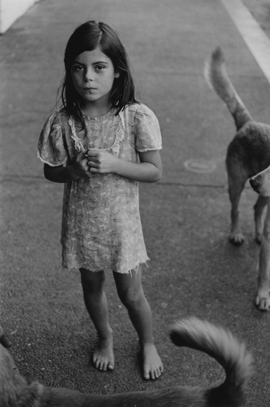 Berkeley, CA, 1973, vintage gelatin silver print