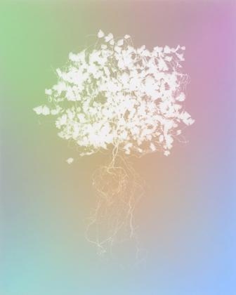 Tracing Shadow #36