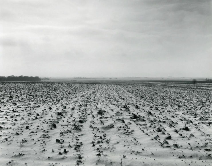 untitled, Illinois Landscape