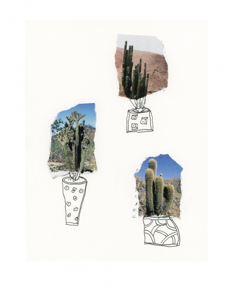Michael Stiegler Three Cactus (unframed), 2019 art from the exhibition on Bowery at Lone Goat Gallery