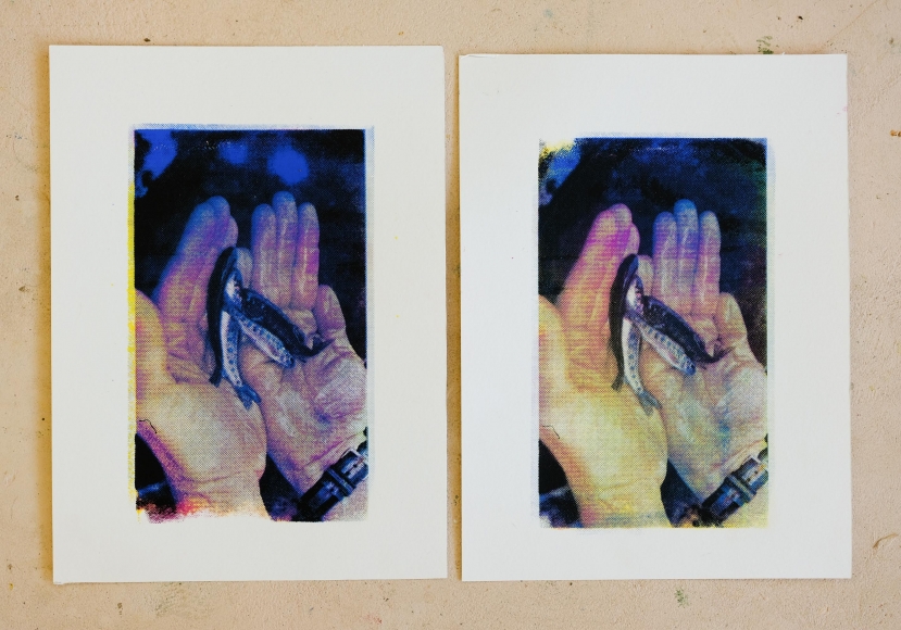 Jacob Boylan Fish Hands, 2020 Silkscreen on paper 37.50h x 28w cm