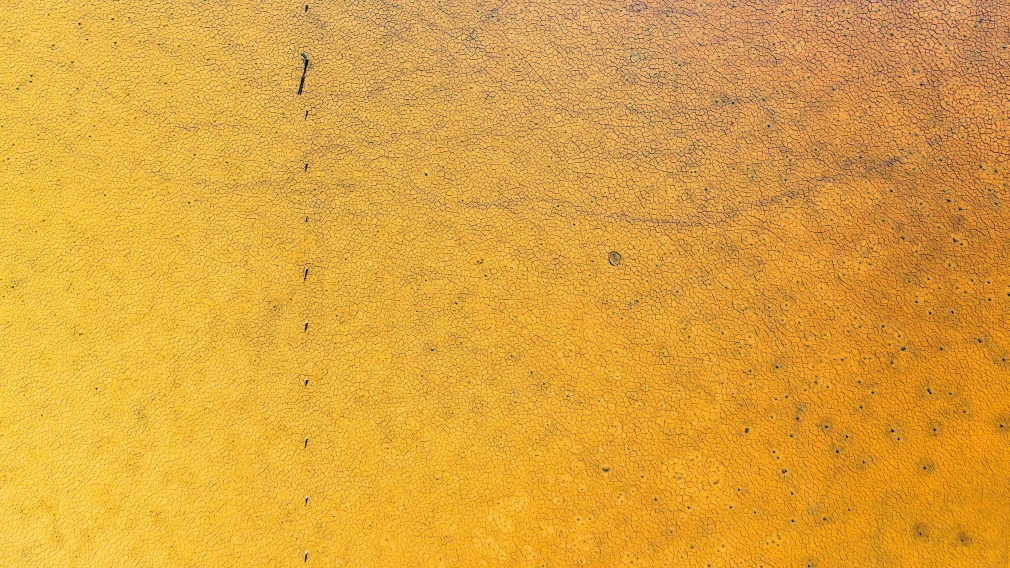 Stu Murphy, Hold the Phone, 2019, Aerial photo of wetlands near Grafton NSW