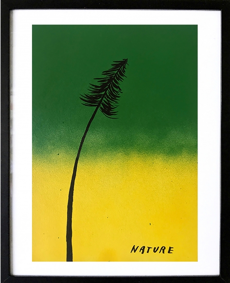 Paul McNeil, Nature