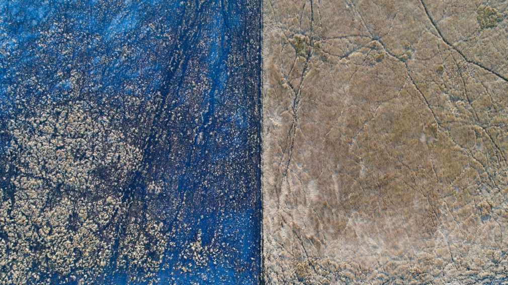 Stu Murphy, Swamp Felt, 2019, Aerial photo of wetlands near Grafton NSW