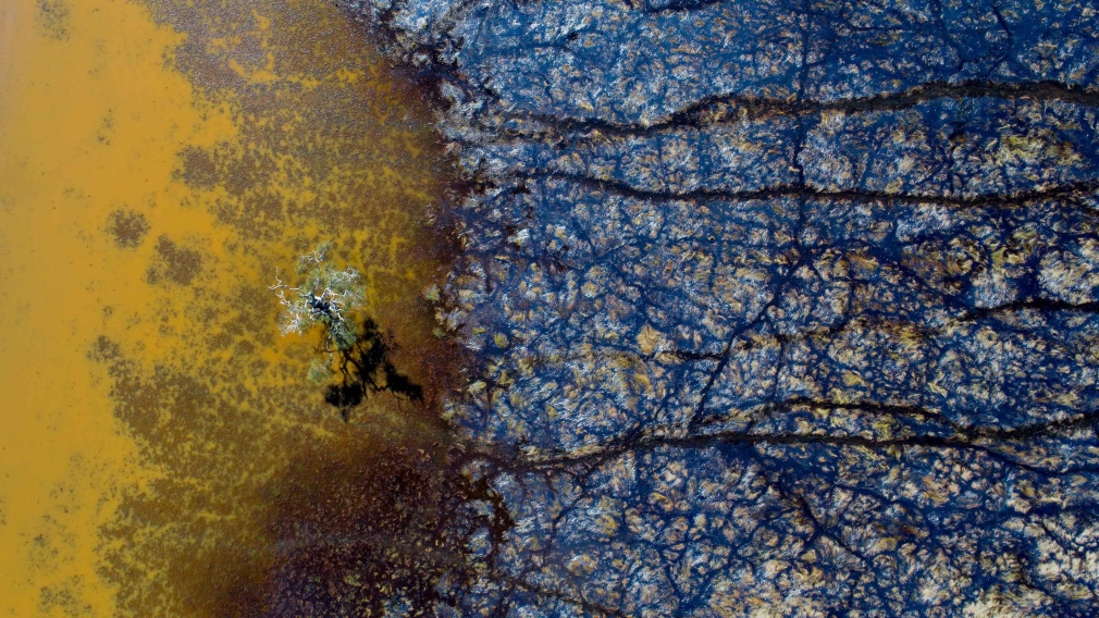 Stu Murphy My Tree, 2018, Aerial photo of wetlands near Grafton NSW