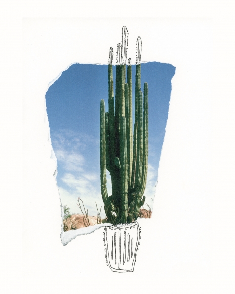 Michael Stiegler Cactus Solo (unframed), 2019 art from the exhibition on Bowery at Lone Goat Gallery