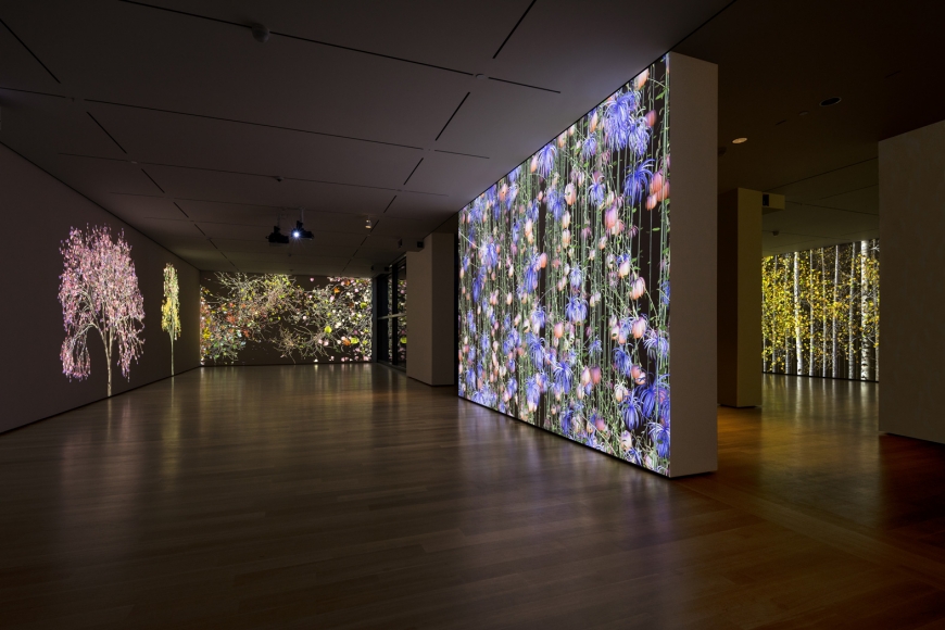 JENNIFER STEINKAMP, Blind Eye