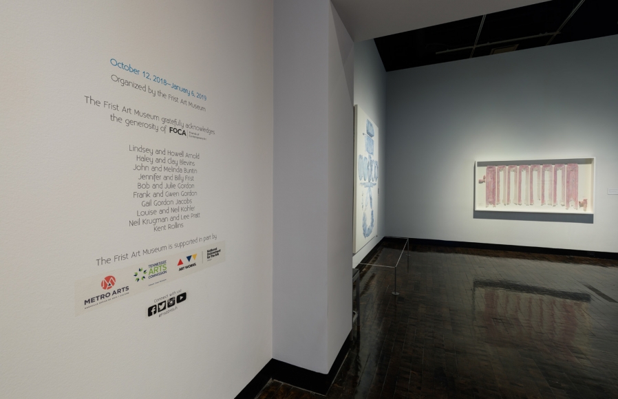 DO HO SUH, Installation view, Frist Art Museum, Do Ho Suh: Specimens, Oct. 12, 2018 - Jan. 6, 2019