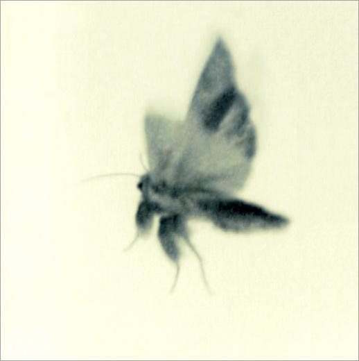 ATL Film Still 1, 2000-2004