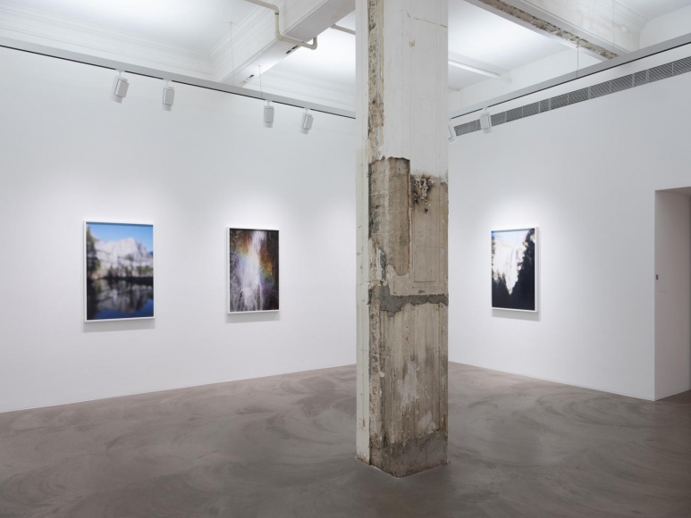 CATHERINE OPIE So long as they are wild
installation view 6