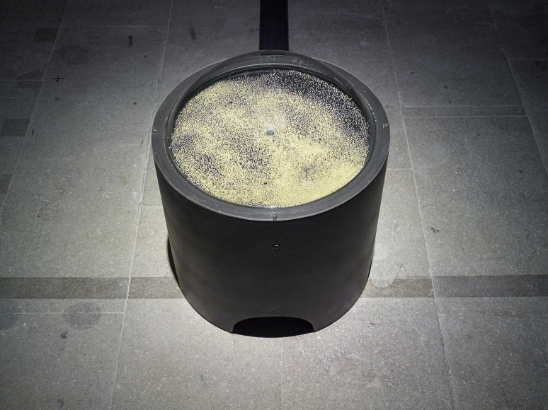 Kader Attia