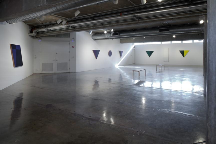 Perspectives 177: McArthur Binion, Installation view, Contemporary Arts Museum Houston