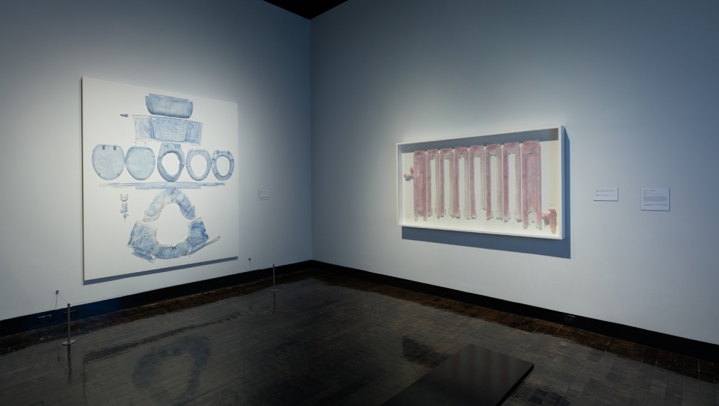 DO HO SUH, Installation view, Frist Art Museum, Do Ho Suh: Specimens, Oct. 12, 2018 - Jan. 6, 2019